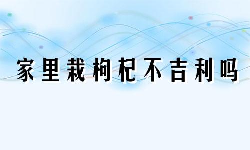 家里栽枸杞不吉利吗  家中种植枸杞吉利-第1张-风水-忧悟居