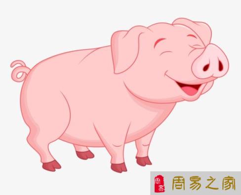 2023年猪年运势及月运程-2023年猪年运势详解
