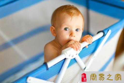 老鼠宝宝的名字从以下几点开始考虑绝对好名字！好名字要有好方法