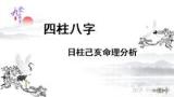 亥日柱|八字命理六十日柱