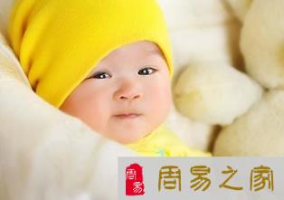 2023年出生的兔宝宝最新命名为最受欢迎的宝宝名字