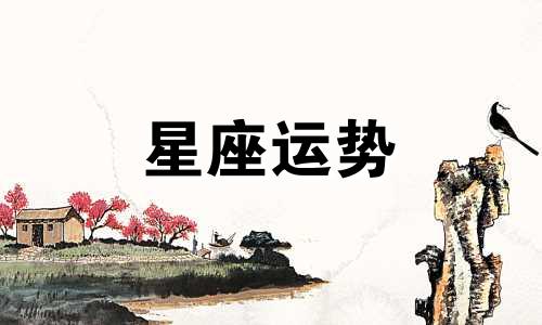 哪个星座被人利用最惨