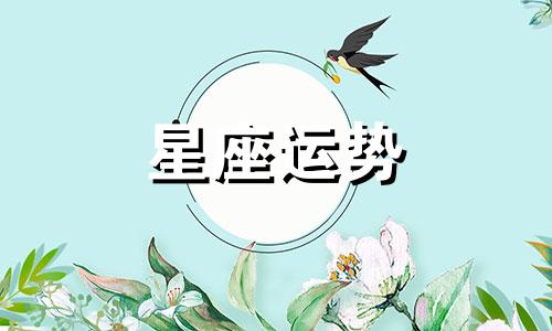 哪个星座温柔人畜无害