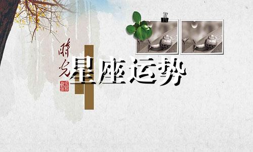 哪个星座吸引白羊男生