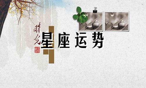 摩羯座适合嫁哪个星座