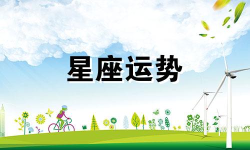 哪个星座综合实力最强