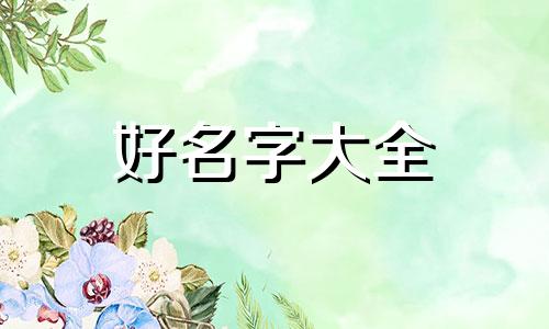 零食名字如何起名字好