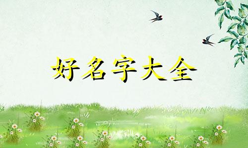 美发总部如何起名字吸引人