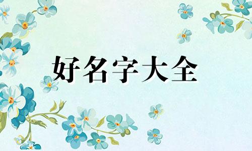 比熊如何起名字男的可爱