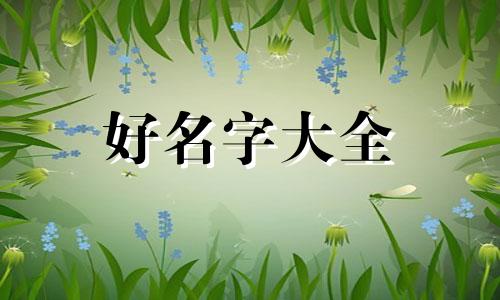 如何给自己养花起名字好听