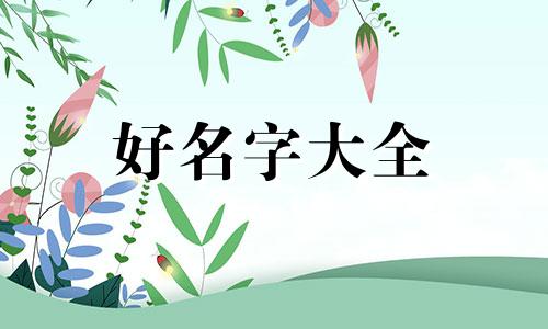 如何给小忍戴帽子的人起名