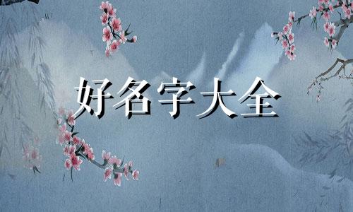 如何给崽崽娃娃起名字大全