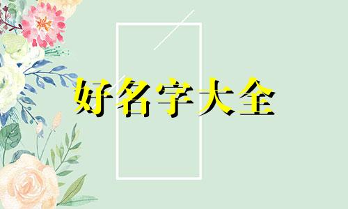 如何给猫训练起名字大全