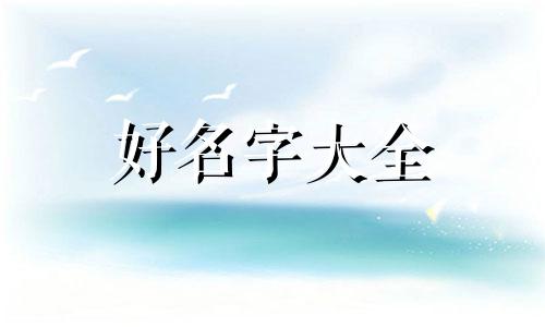 如何给智能用品起名字呢