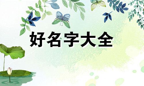 古代人苏轼如何起名字字