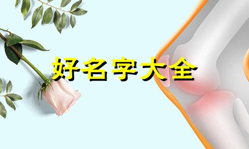 派出所如何起名称呢英文