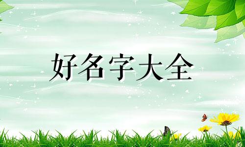 如何给柯尔鸭起名字大全