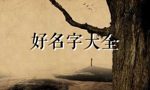 起名时如何选字好一点呢