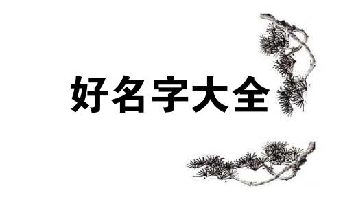 酒店客人群如何起名字呢