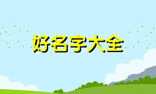 如何给小鸡互动起名字大全