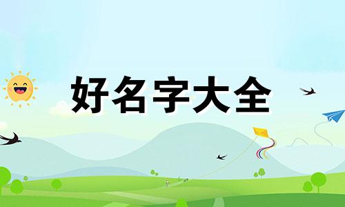 设计师个人ip如何起名字