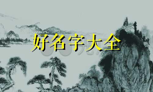 合作社名字如何起名字好
