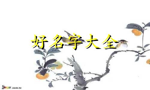 如何给毛绒玩具兔子起名字