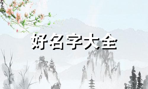 月季花如何起名字大全集