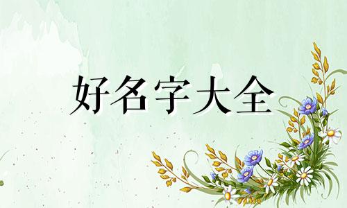 新注册公众号如何起名字呢