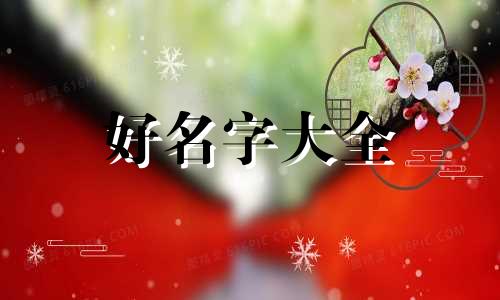 该如何给小猫起名字好听呢