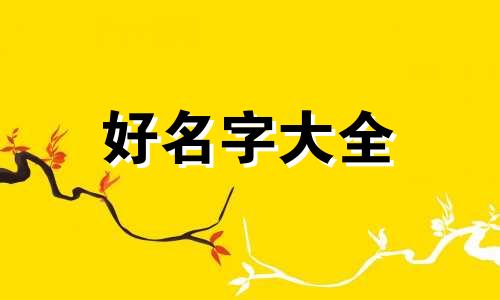 卖面的店如何起名字呢好听