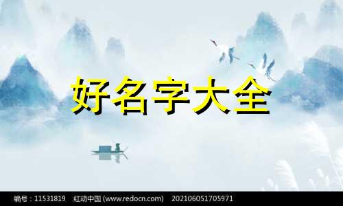 大码女装如何起名字才好听