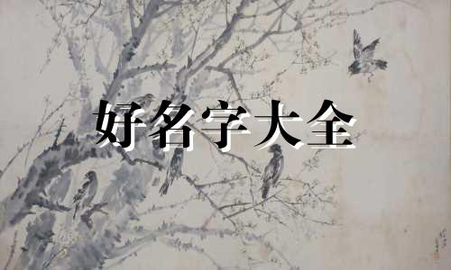 添丁八字如何起名字好