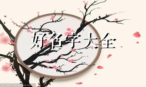 越野车队如何起名字好听点