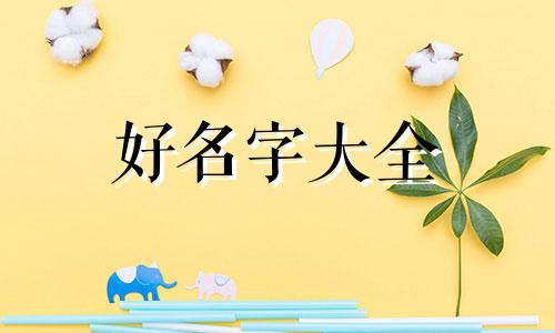 轻食博主如何起名字呢