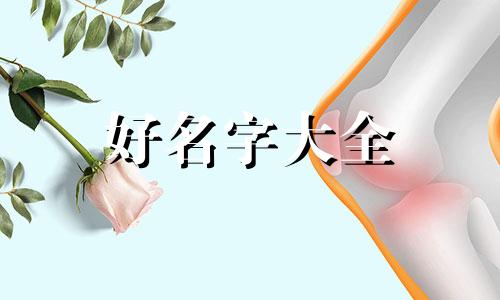 三农主播如何起名字好听