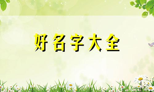 如何给吊带装饰起名字大全