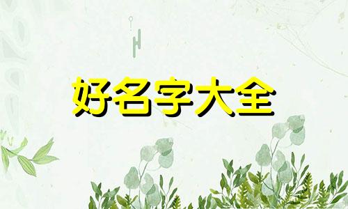 两只小狗如何起名字好听