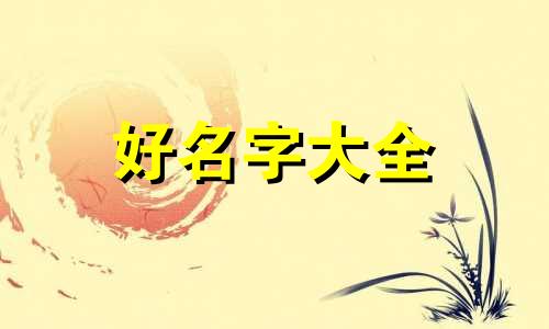 潮鞋网店如何起名字呢女