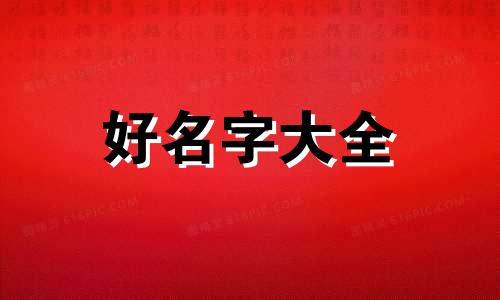 比较凶的猫如何起名字大全