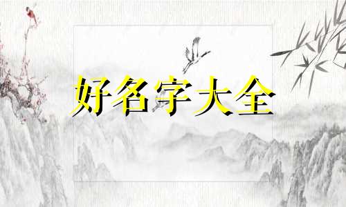 如何给毛孩子起名字男孩