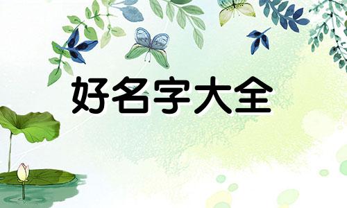 收藏夹如何起名称和图片