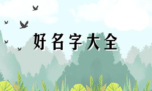 凤头鹦鹉如何起名字的寓意