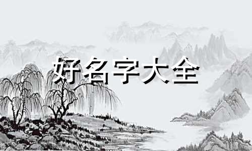 如何给小泰迪起名子呢视频