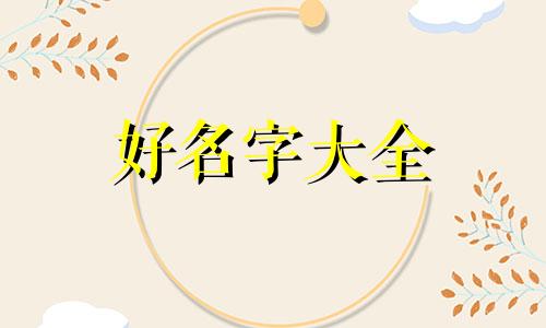 服装高定生意如何起名字好听