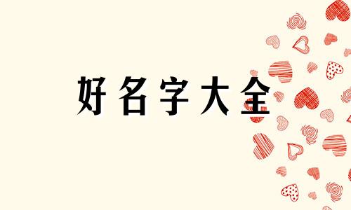 小白狗如何起名字大全好听