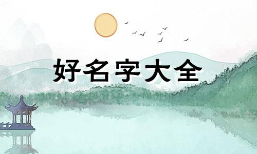 如何给洗头膏起名字男