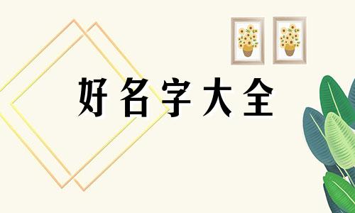 姓武的孩子如何起名字大全