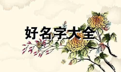 如何给小兔子起名字呢