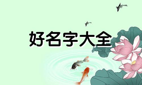 个人独资企业如何起名称